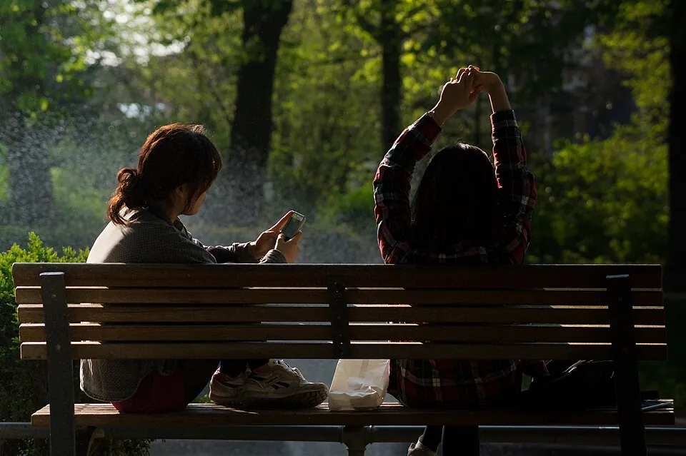 公園のベンチでスマホを見る人の後ろ姿